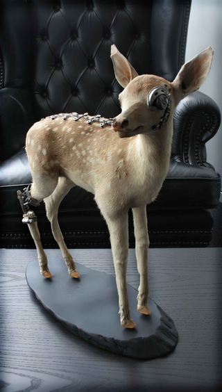Illustration for article titled Steampunk Taxidermy Takes Steampunk to Awkward Places